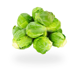 brussel
