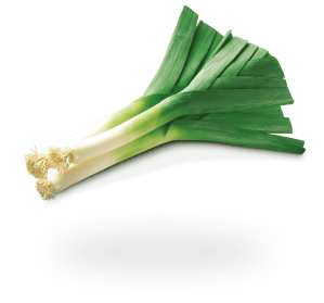 Leek