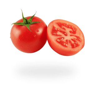 Tomato